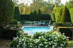 Amy Howards pool an