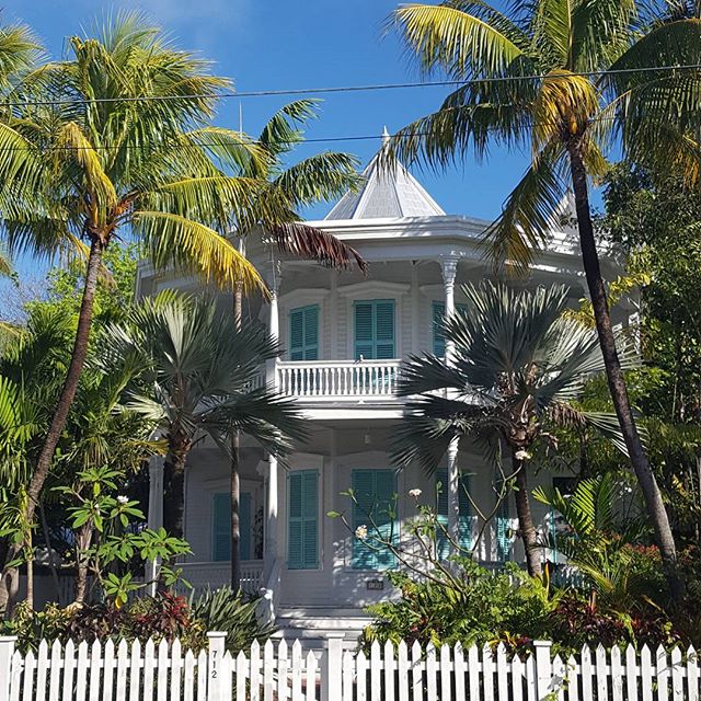 Such a Why not?!? Wednesday Beauty in keywest florida